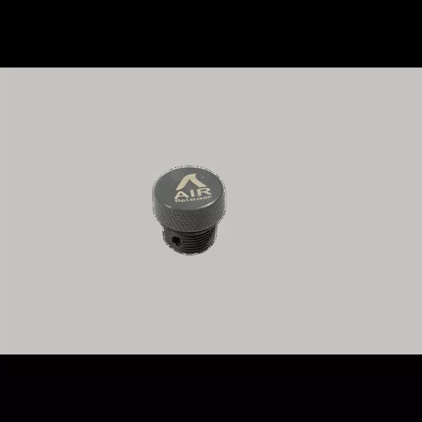 Air Release Plug(W749)