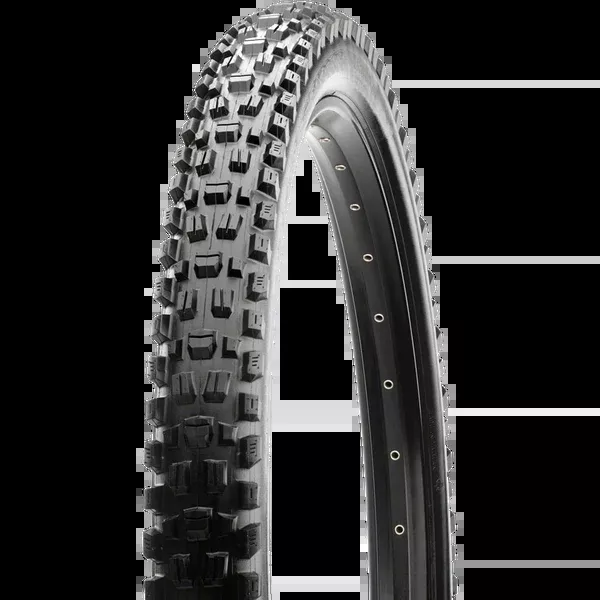 Assegai 3C MT EXO+ TR WT - 29 x 2.5