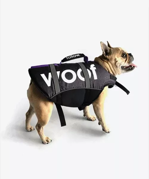 Follow Dog Life Jacket - Black