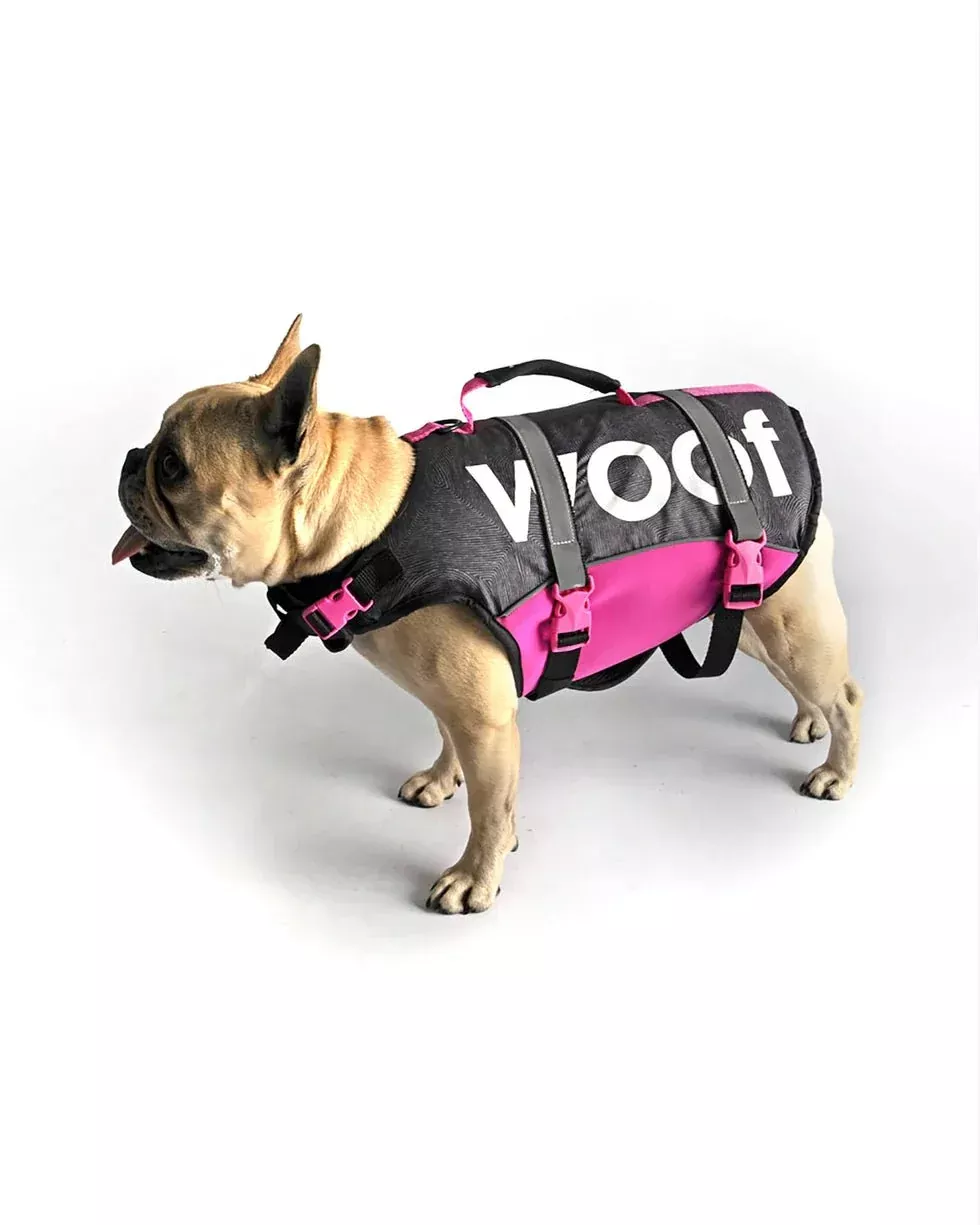 Follow Dog Vest