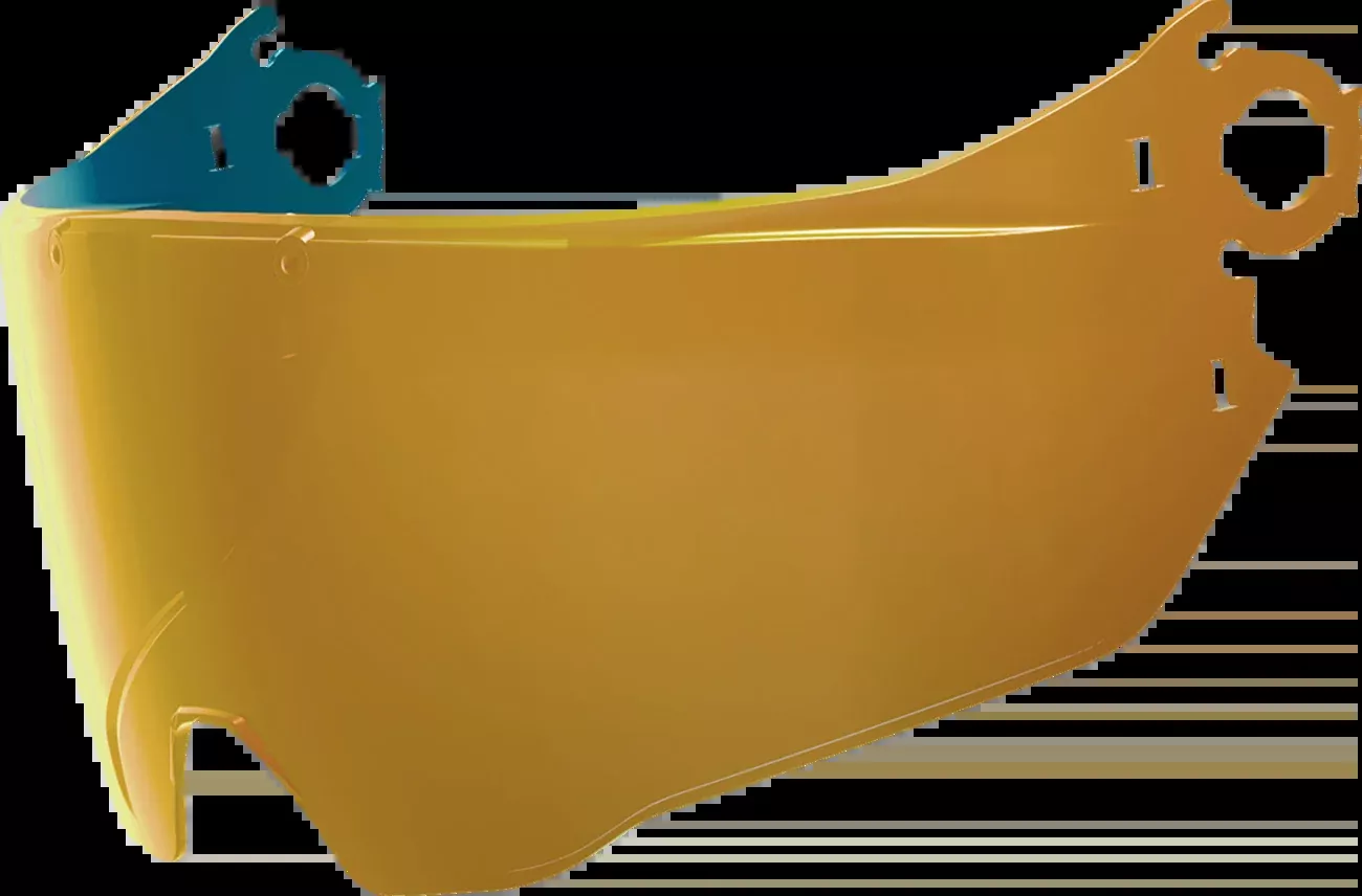 Icon Elsinore™ Helmet MX Shield