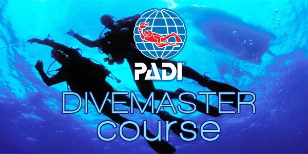 PADI Divemaster Course