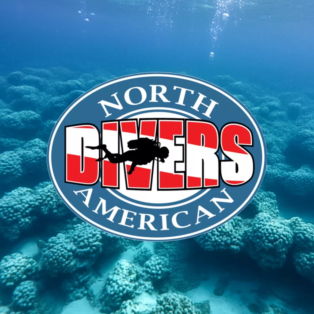 PADI Open Water Diver Certification