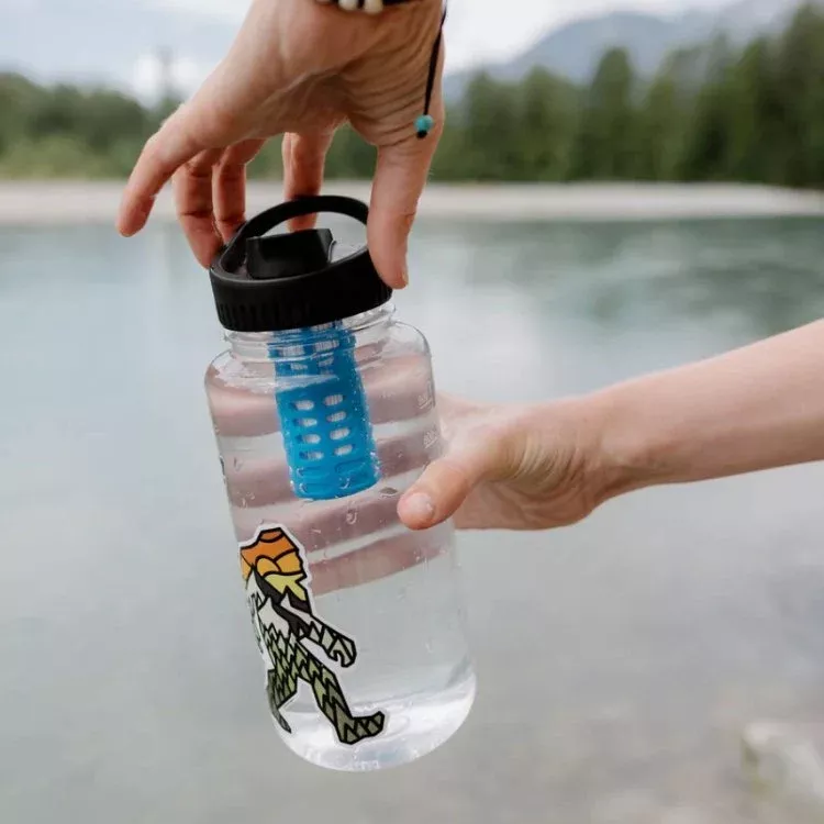 Platypus DayCap In-Bottle Filter