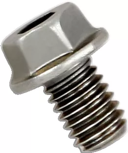 Replacement Exhaust Bolt — Bolt