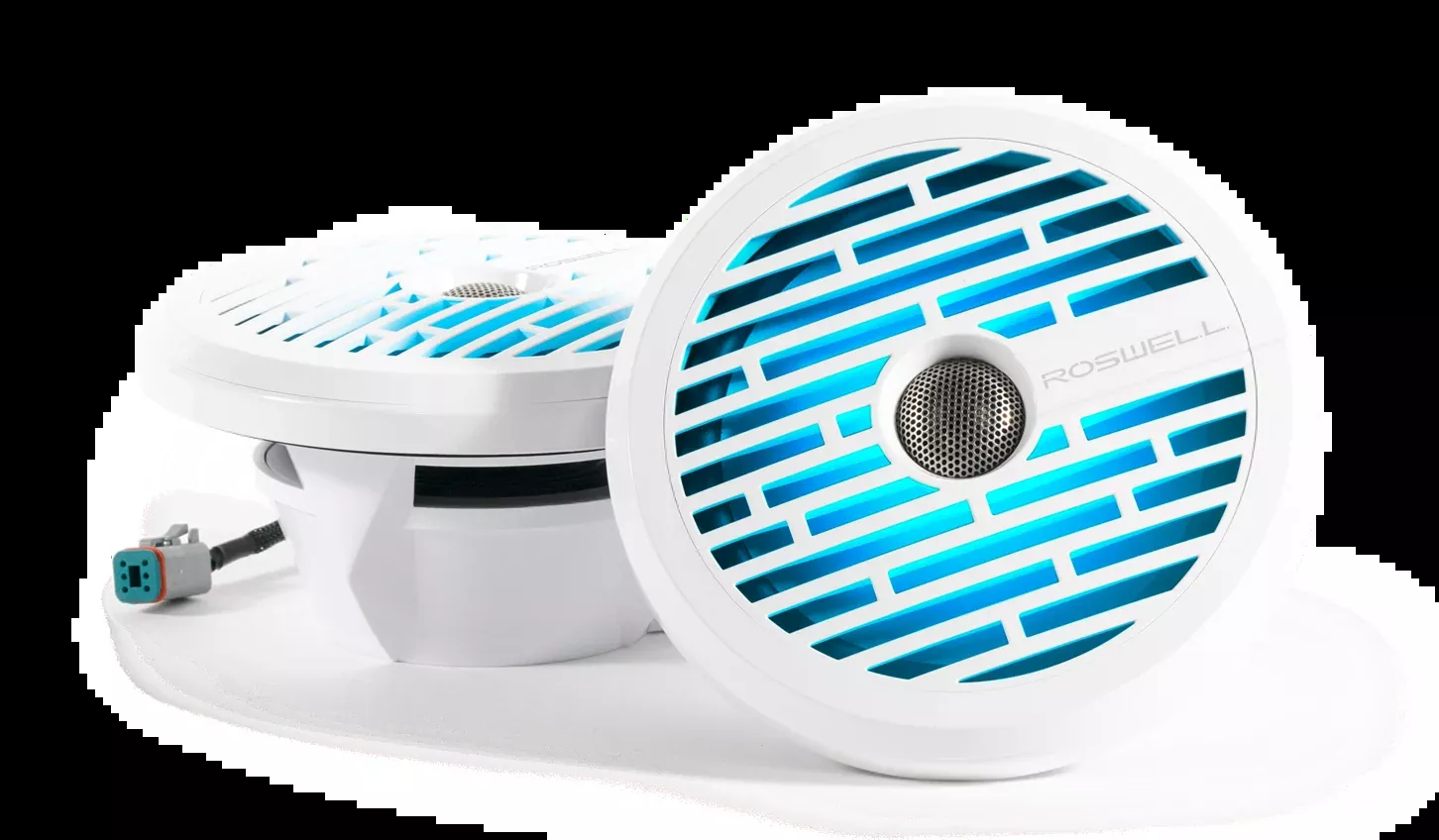Roswell R1 8" Speaker with LED