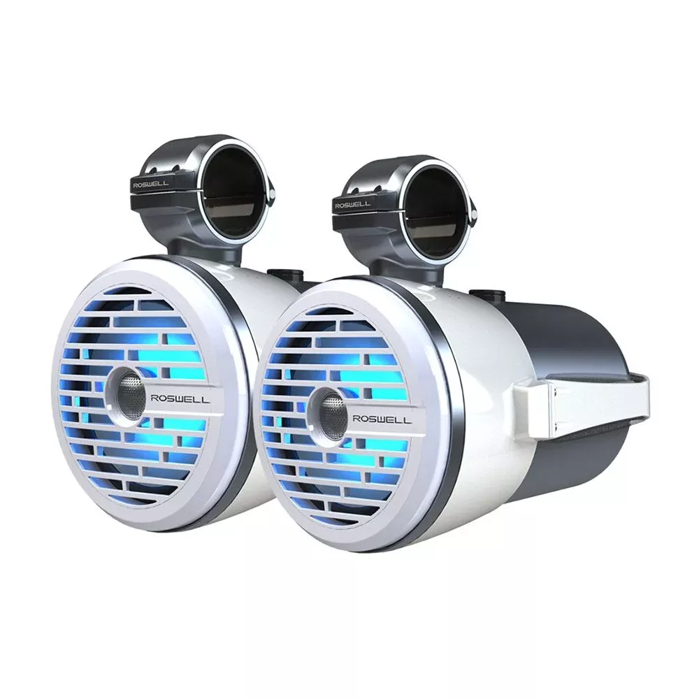Roswell R1 8" Tower Speakers