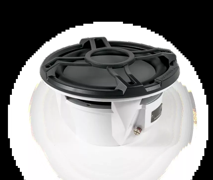 Roswell RMA 10" Subwoofer