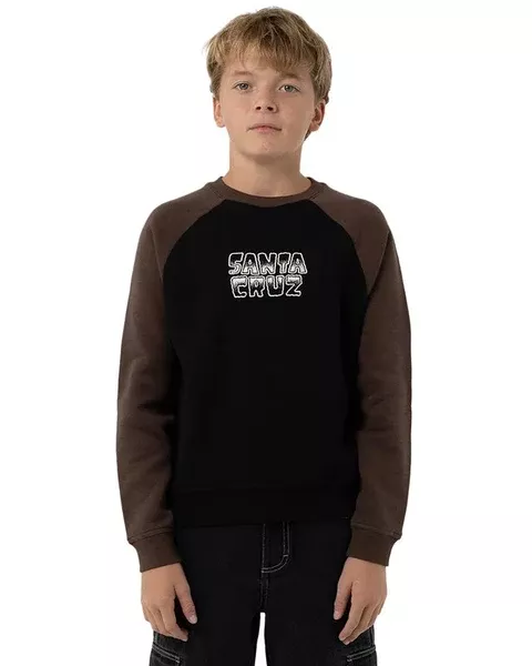 Santa Cruz Multi Cruz Stack Mono Front Boys Sweater - Brown