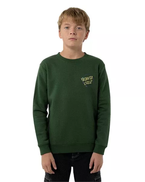 Santa Cruz Winkowski Dope Planet 2 Dot Boys Sweater