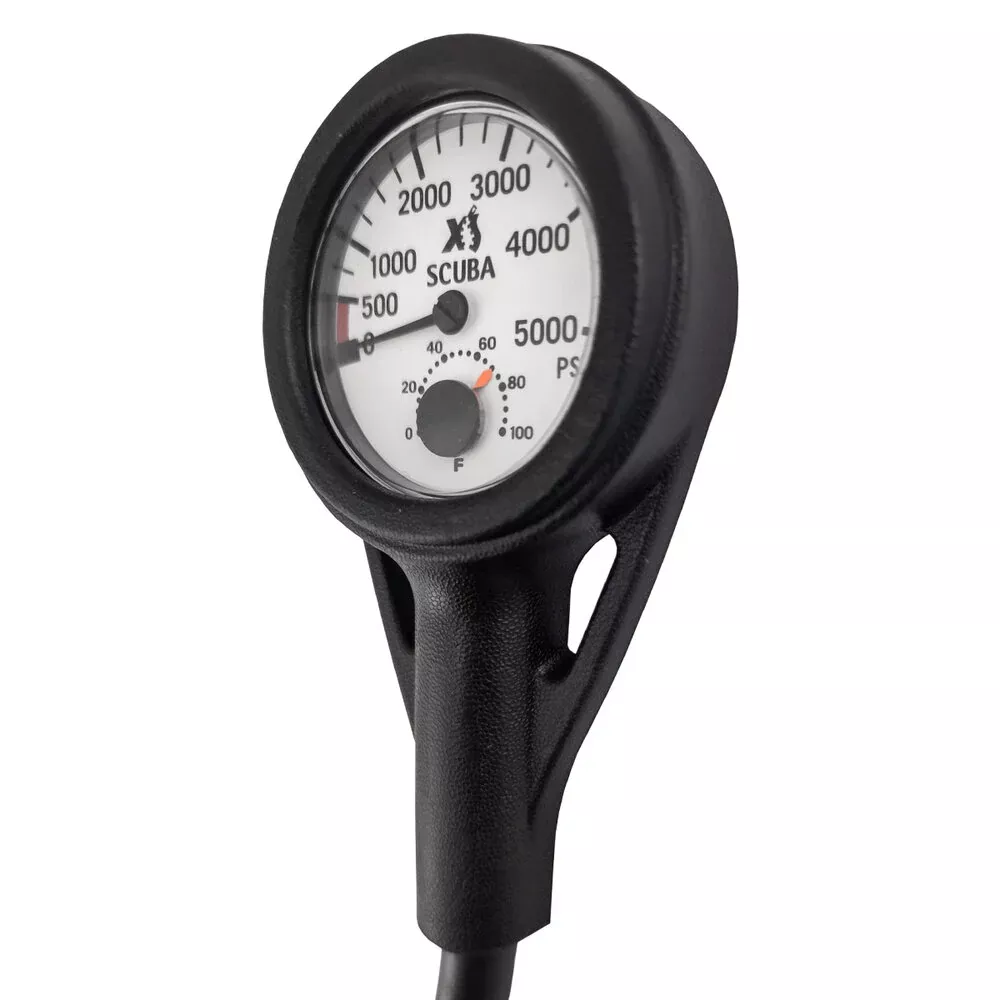 Standard Pressure Gauge