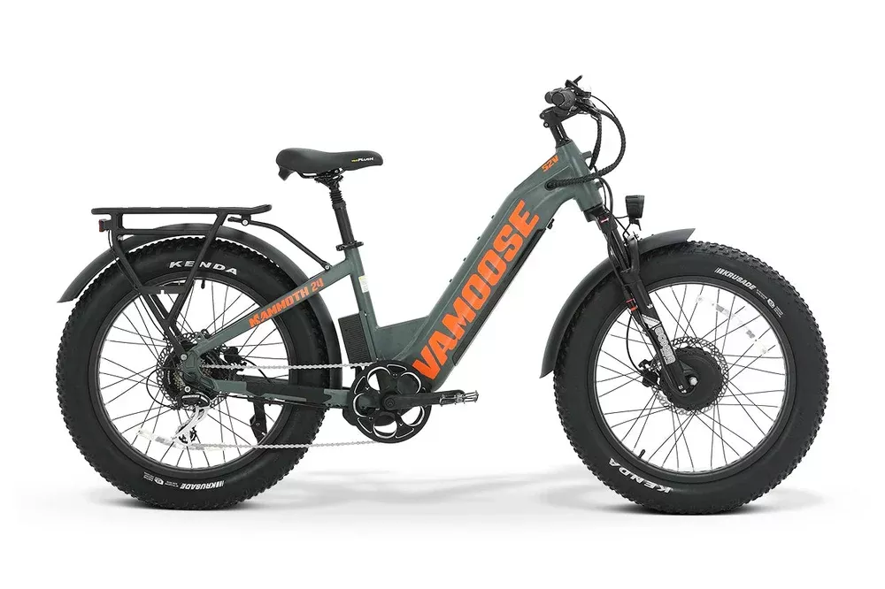Vamoose Mammoth 24 500 ST E-Bike