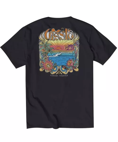 Vissla Visuals Organic Ss Tee - Black