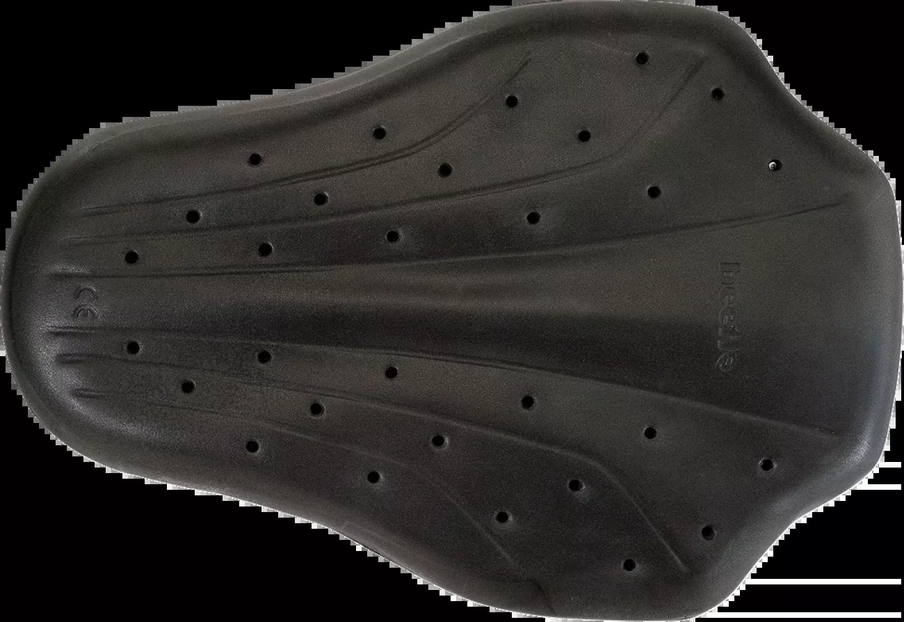 Z1R Back Guard