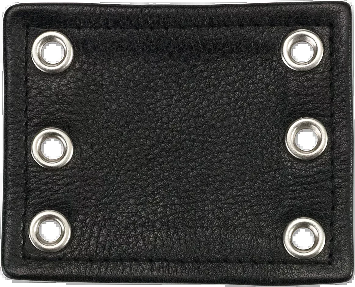 Z1R Black Chap Extender